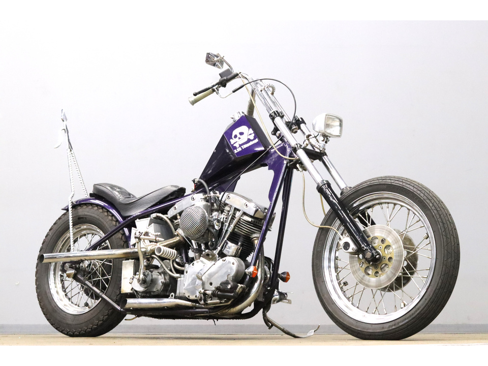 HARLEY-DAVIDSON