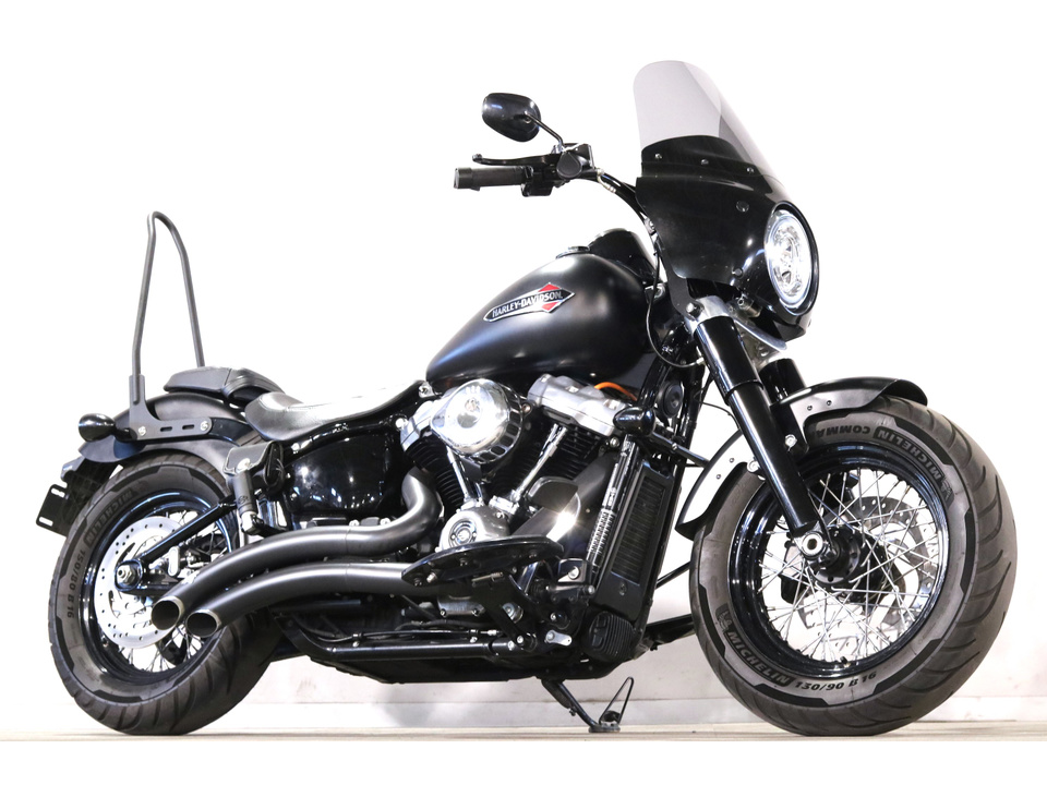 HARLEY-DAVIDSON FLSL