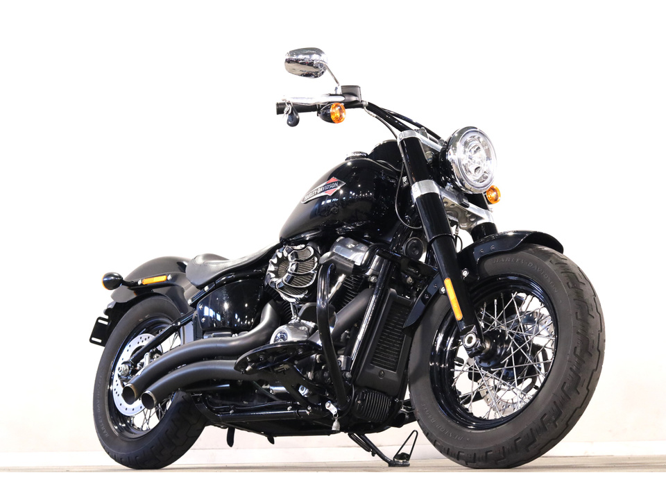 HARLEY-DAVIDSON FLSL