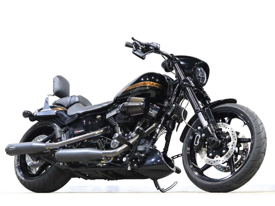HARLEY-DAVIDSON FXSE CVO