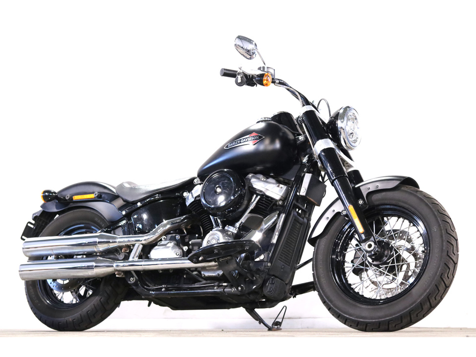 HARLEY-DAVIDSON FLSL