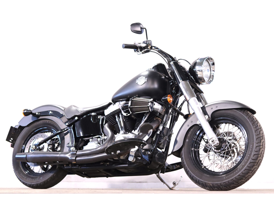 HARLEY-DAVIDSON FLS