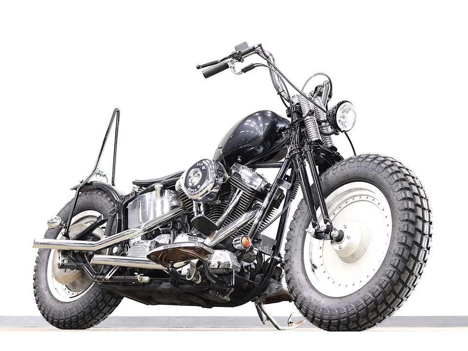 HARLEY-DAVIDSON FLSTF Fat Boy