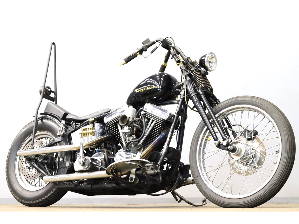 HARLEY-DAVIDSON FLSTF Fat Boy
