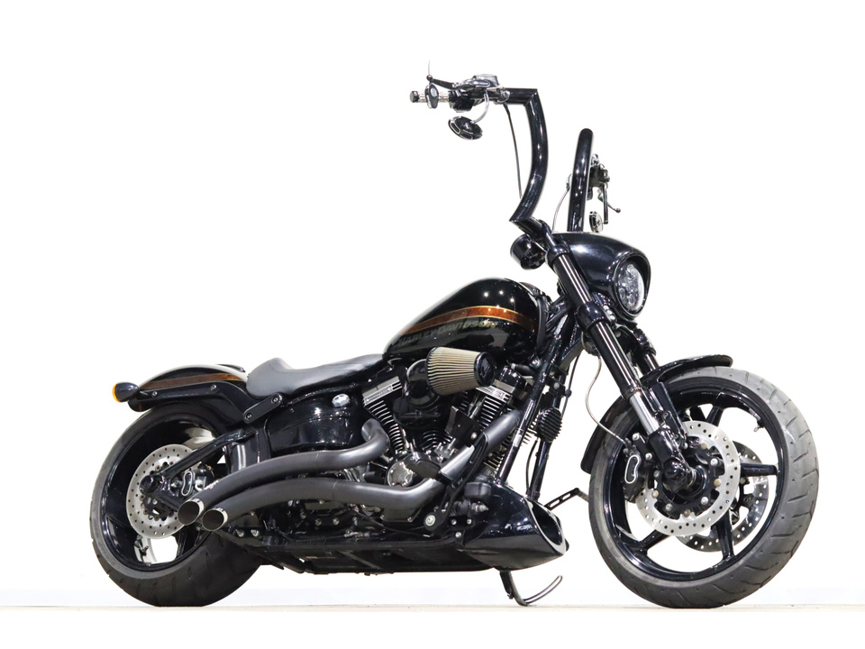 HARLEY-DAVIDSON FXSE CVO