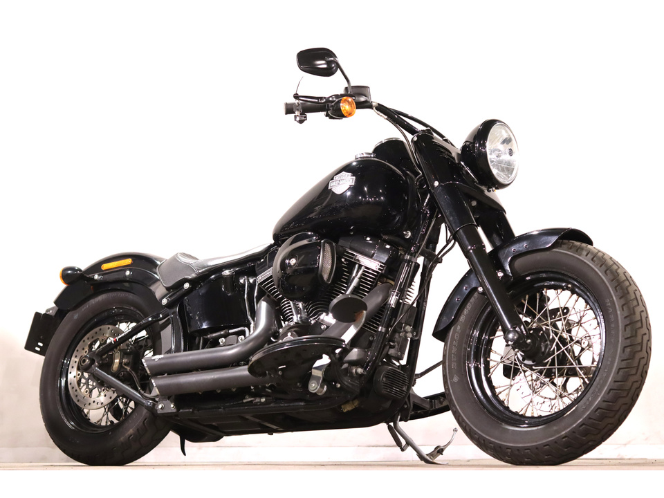 HARLEY-DAVIDSON FLSS