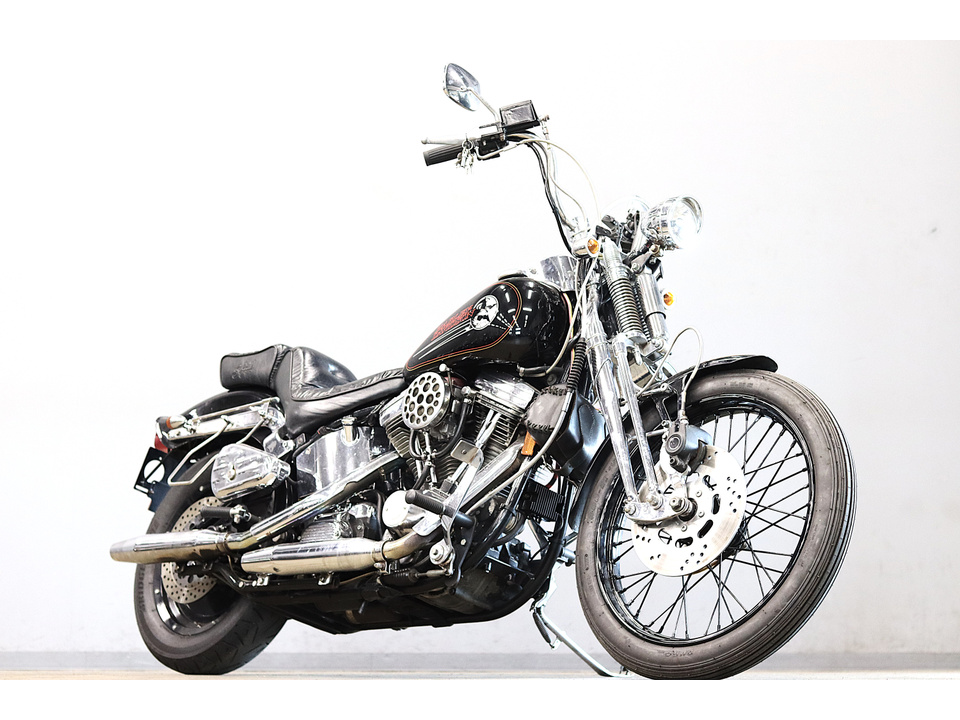 HARLEY-DAVIDSON FXSTS Springer