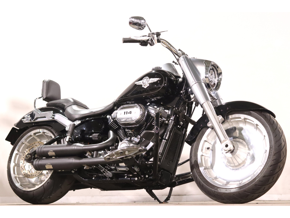 HARLEY-DAVIDSON FLFBS