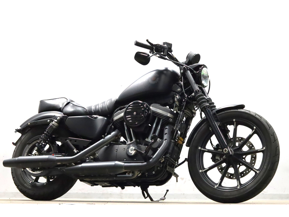 HARLEY-DAVIDSON XL883 N Iron