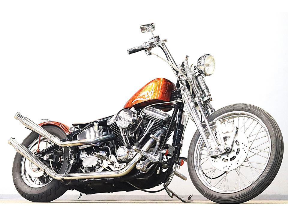HARLEY-DAVIDSON FXSTS Springer