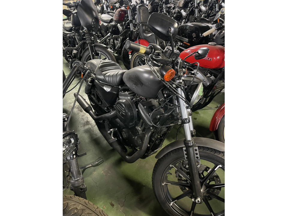 HARLEY-DAVIDSON XL883 N Iron