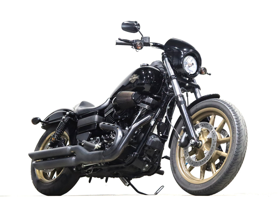 HARLEY-DAVIDSON FXDLS