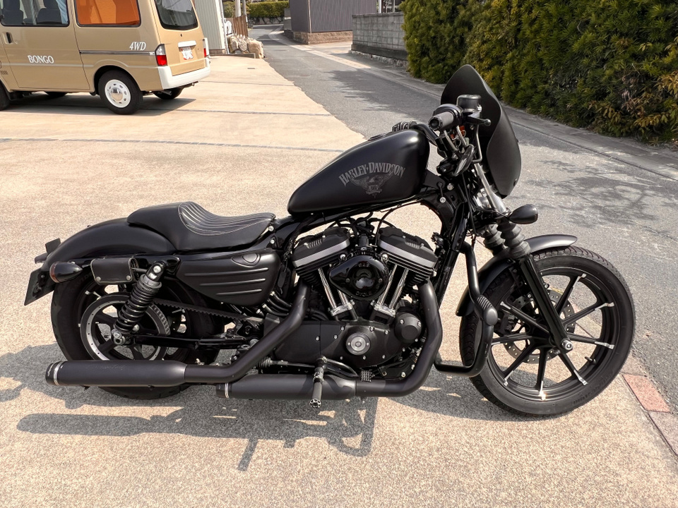 HARLEY-DAVIDSON XL883 N Iron