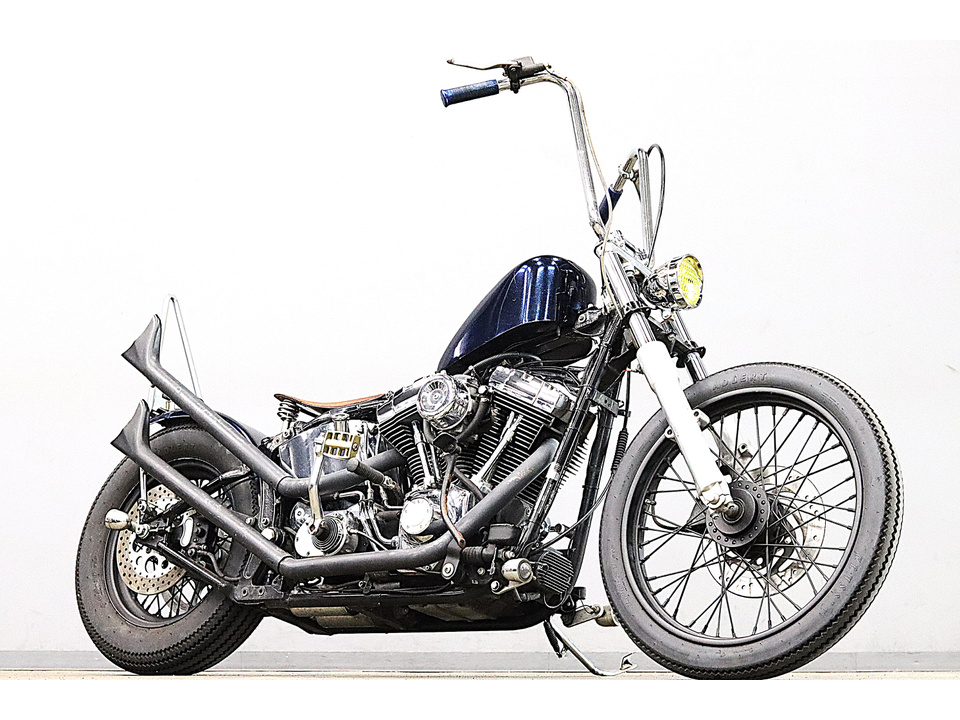 HARLEY-DAVIDSON FLSTF Fat Boy