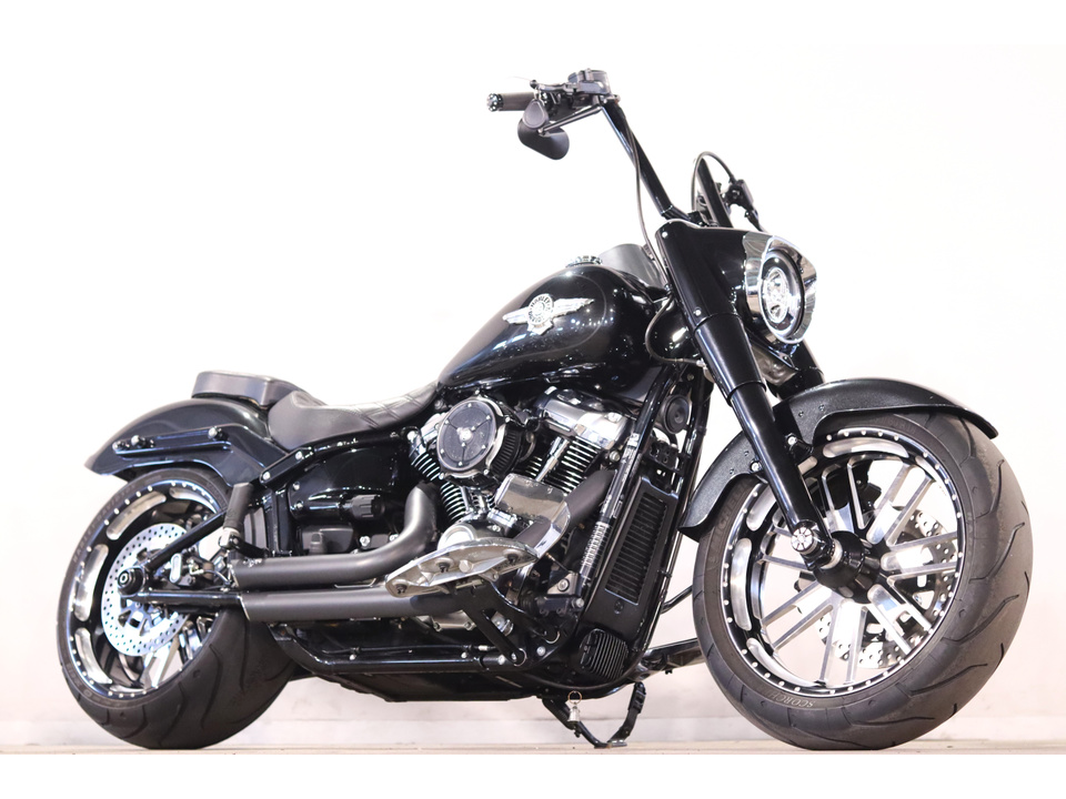 HARLEY-DAVIDSON FLFBS