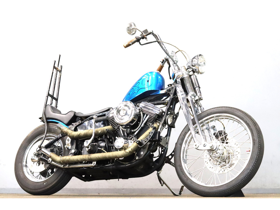 HARLEY-DAVIDSON FLSTS Heritage Springer