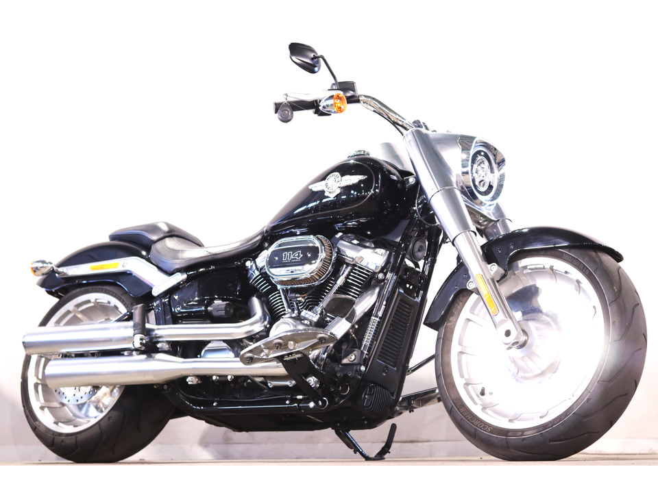 HARLEY-DAVIDSON FLFBS