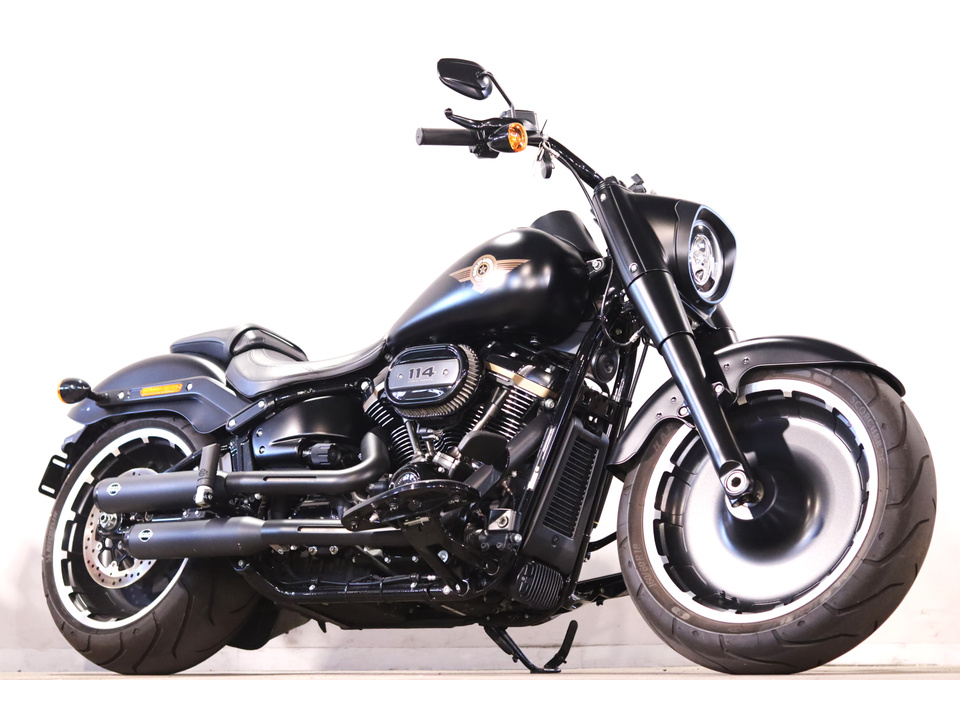 HARLEY-DAVIDSON FLFBS
