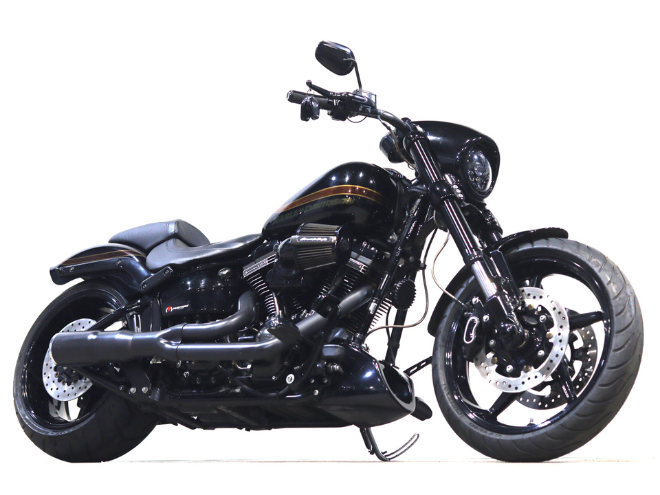 HARLEY-DAVIDSON FXSE CVO