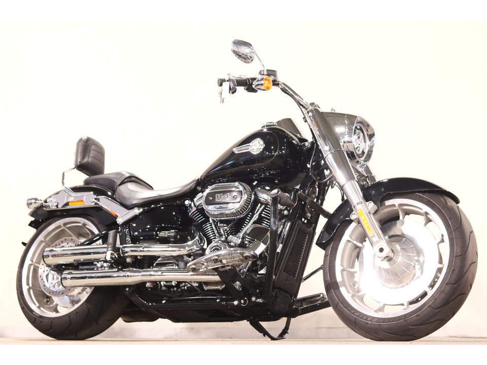 HARLEY-DAVIDSON FLFBS