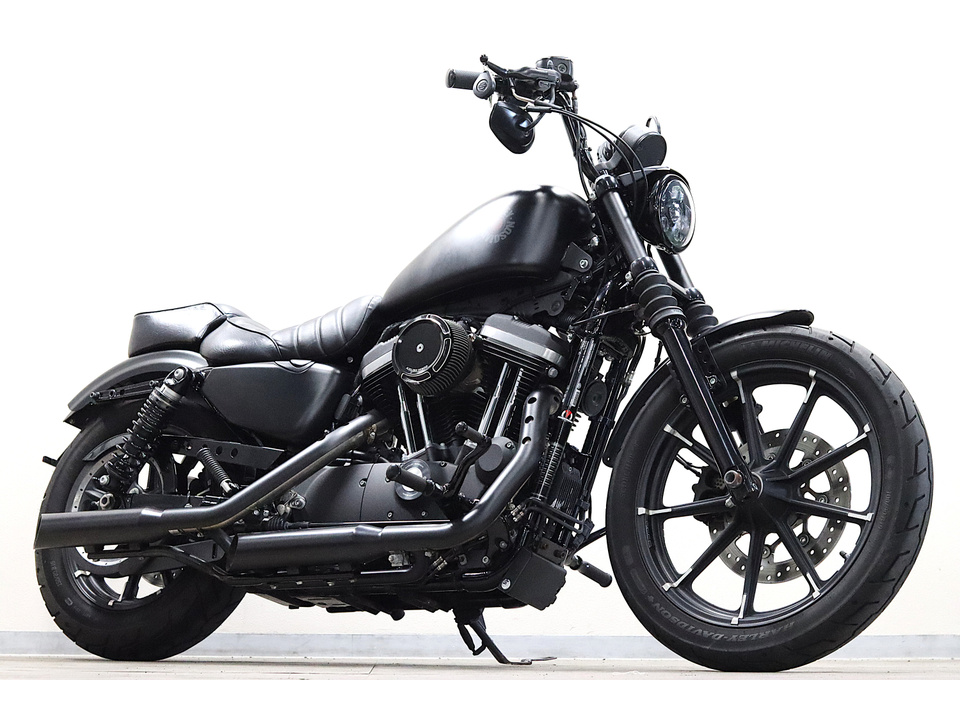 HARLEY-DAVIDSON XL883 N Iron