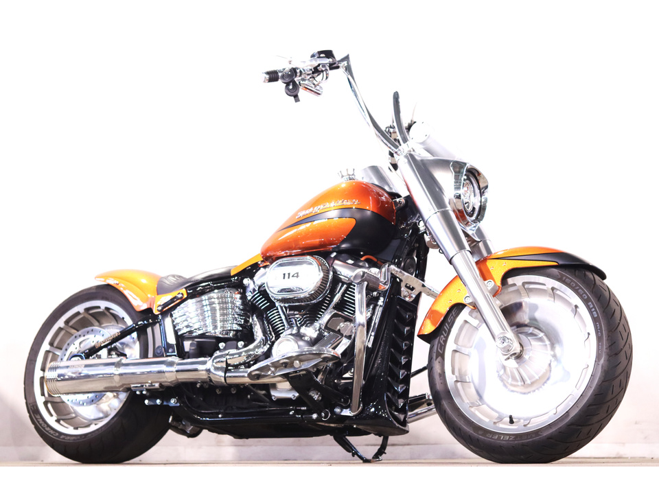 HARLEY-DAVIDSON FLFBS