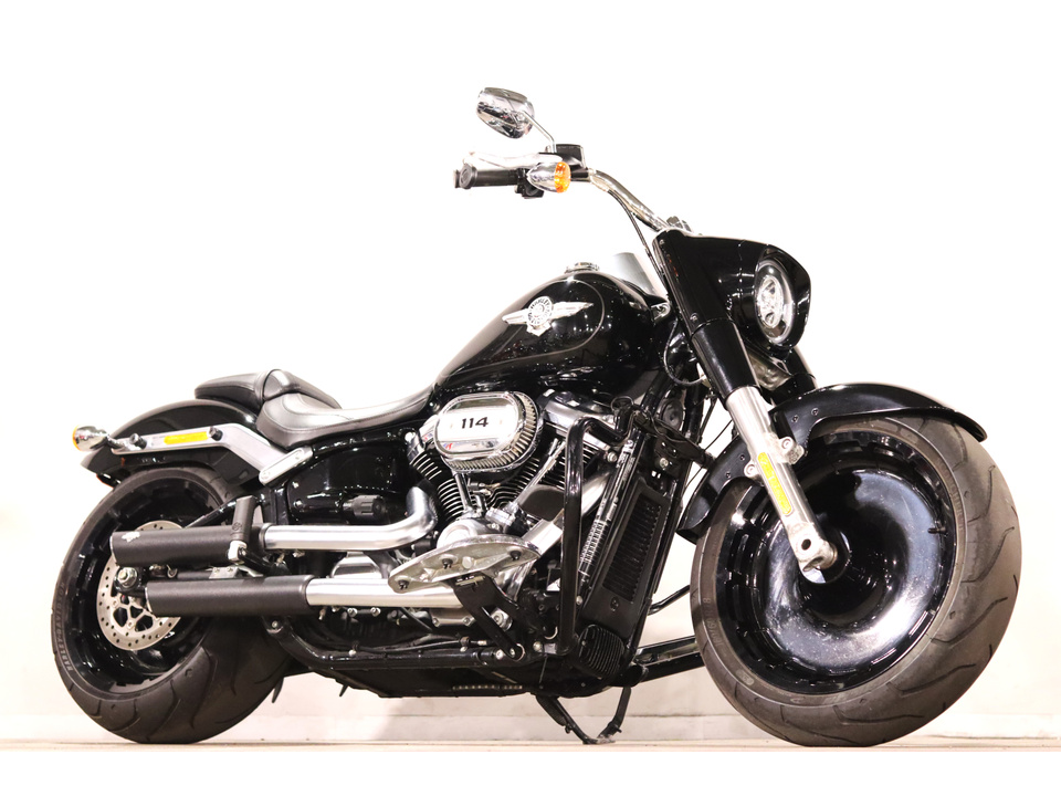 HARLEY-DAVIDSON FLFBS