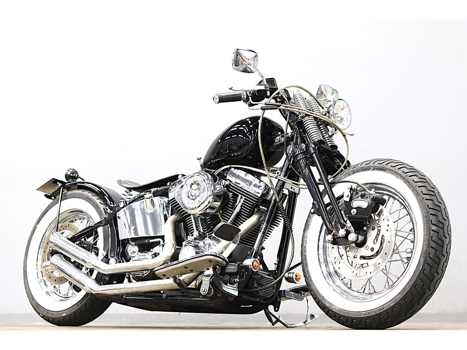 HARLEY-DAVIDSON FLSTN