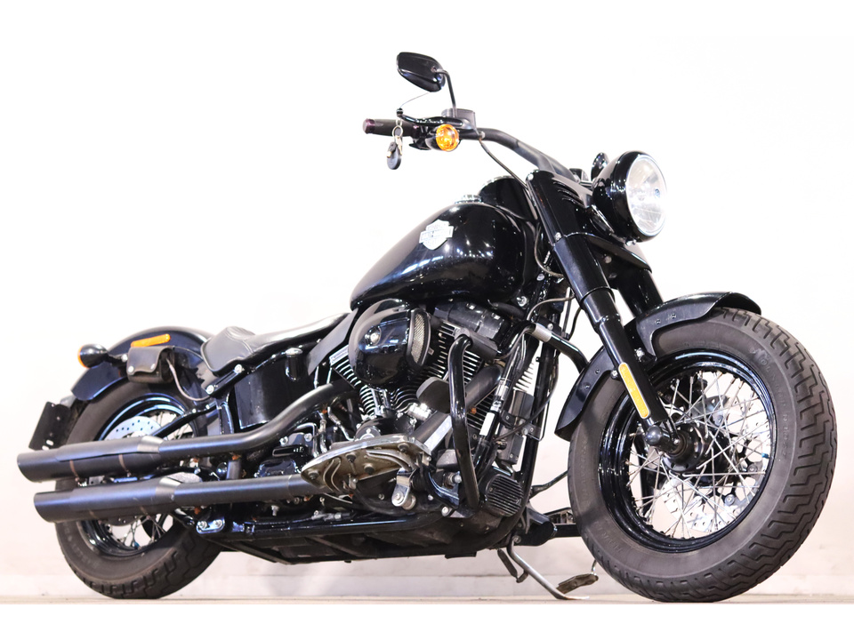 HARLEY-DAVIDSON FLSS