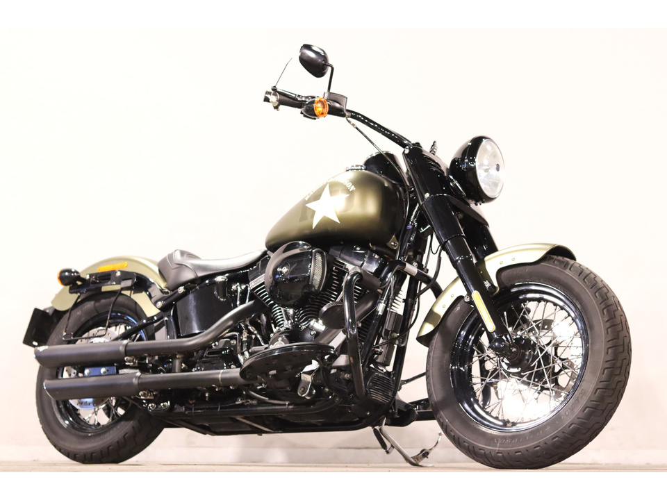 HARLEY-DAVIDSON FLSS