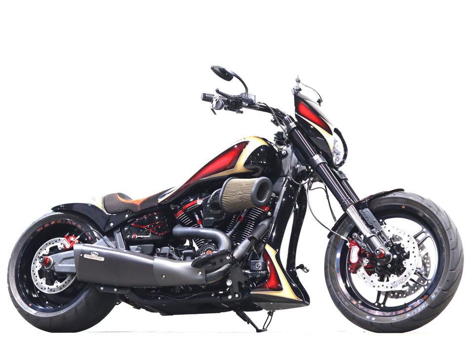 HARLEY-DAVIDSON FXDRS