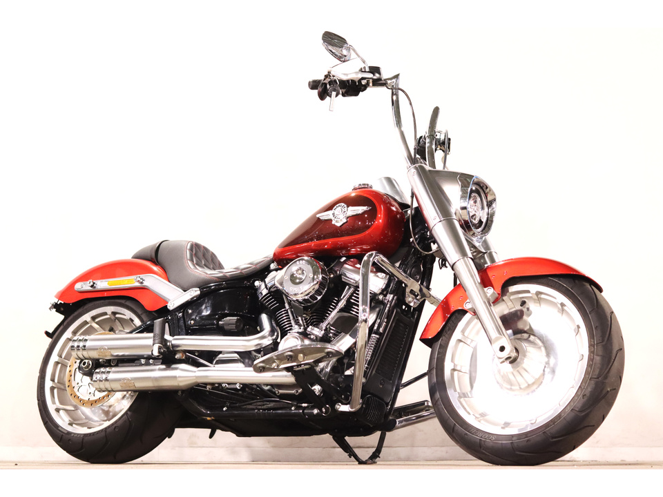 HARLEY-DAVIDSON FLFBS