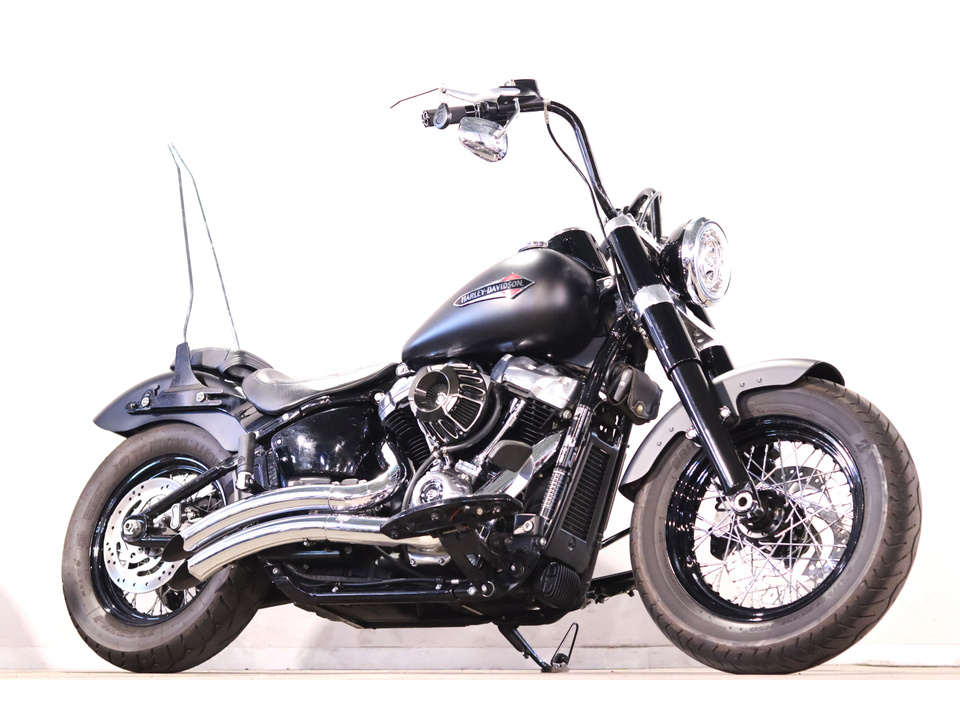 HARLEY-DAVIDSON FLSL