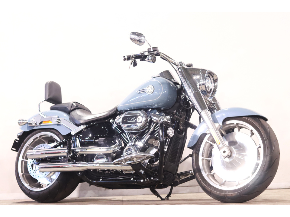 HARLEY-DAVIDSON FLFBS