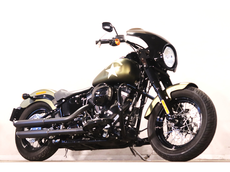 HARLEY-DAVIDSON FLSS