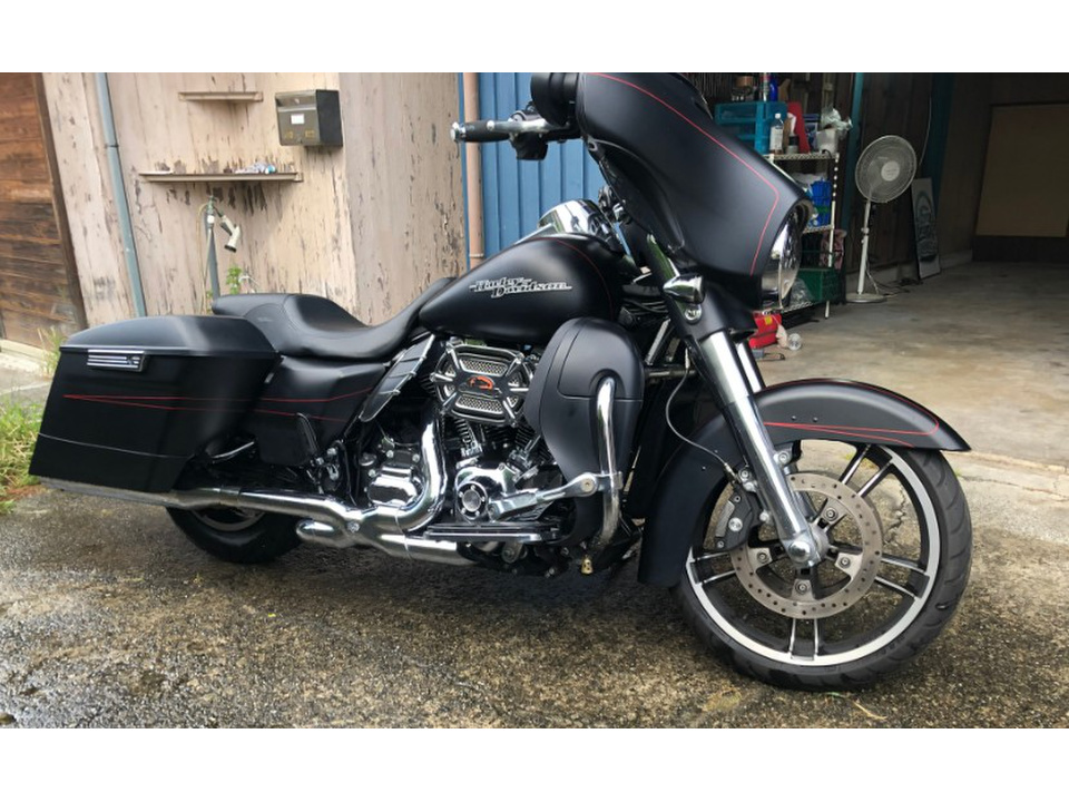 HARLEY-DAVIDSON FLHX