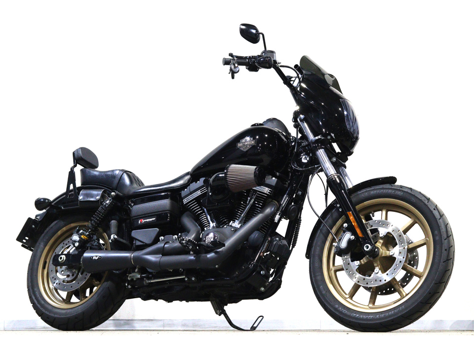 HARLEY-DAVIDSON FXDLS