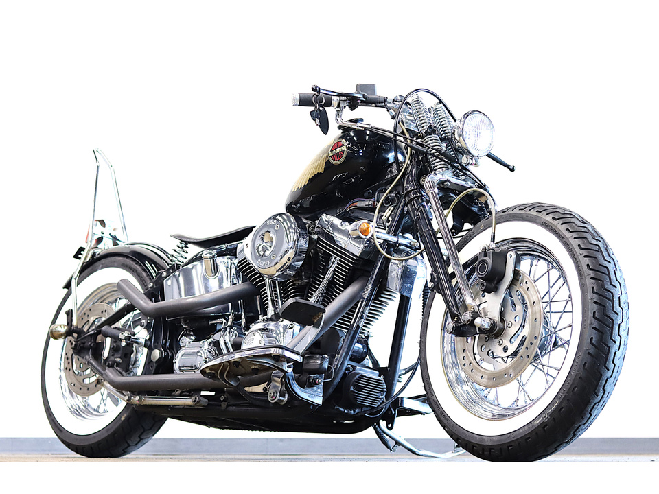 HARLEY-DAVIDSON FLSTF Fat Boy