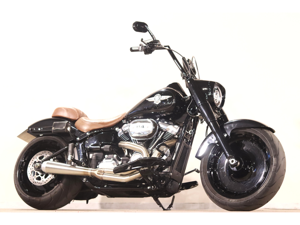 HARLEY-DAVIDSON FLFBS