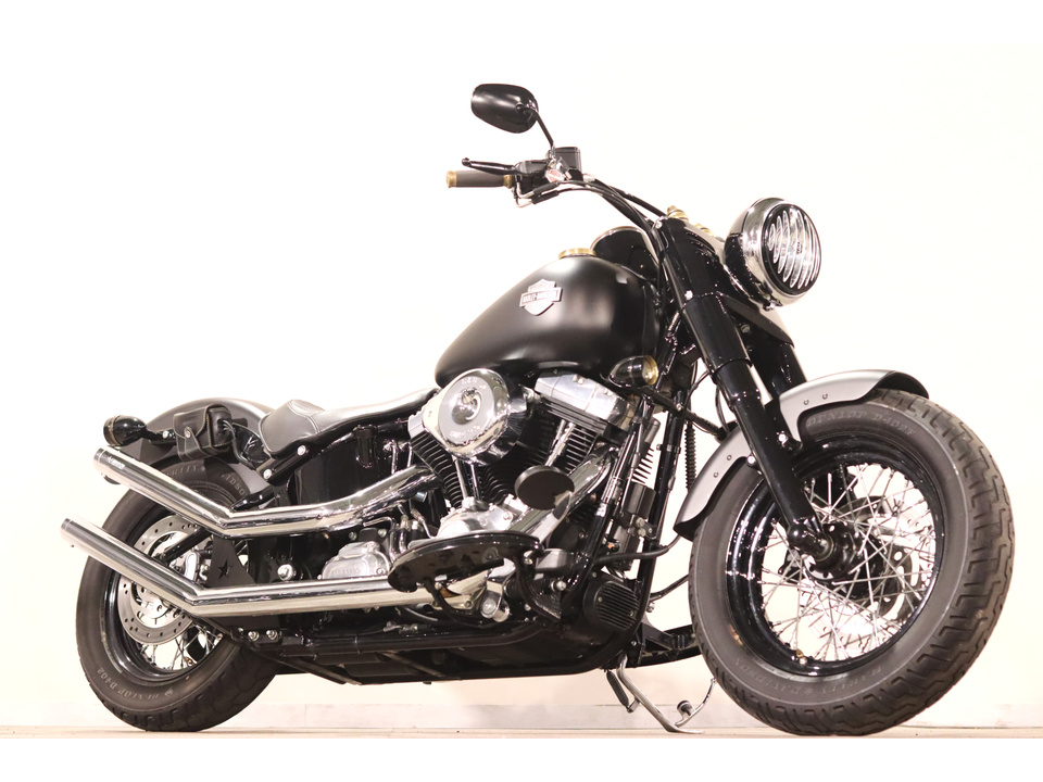 HARLEY-DAVIDSON FLS