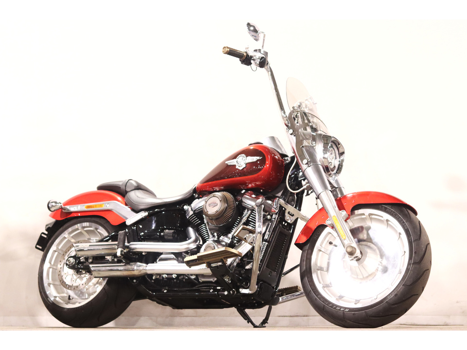HARLEY-DAVIDSON FLFBS
