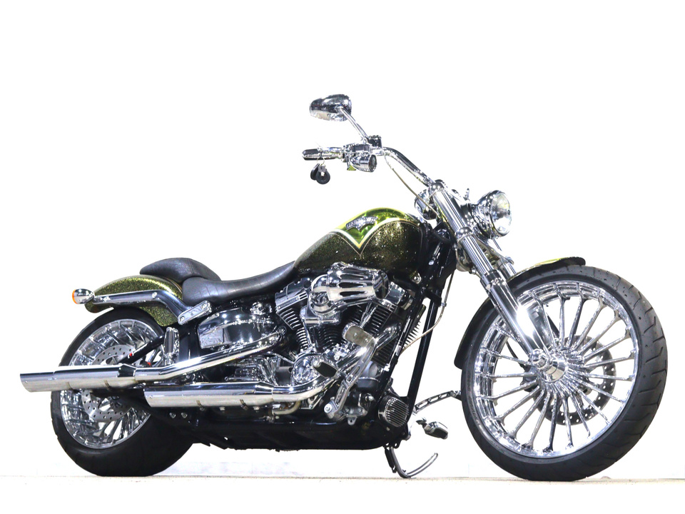 HARLEY-DAVIDSON FXSBSE CVO Breakout