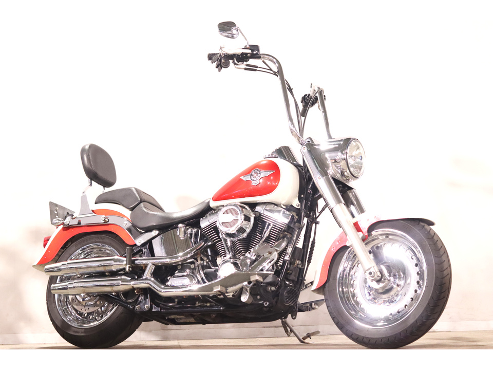 HARLEY-DAVIDSON FLSTF