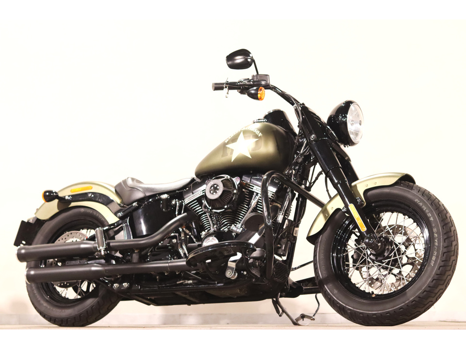 HARLEY-DAVIDSON FLSS
