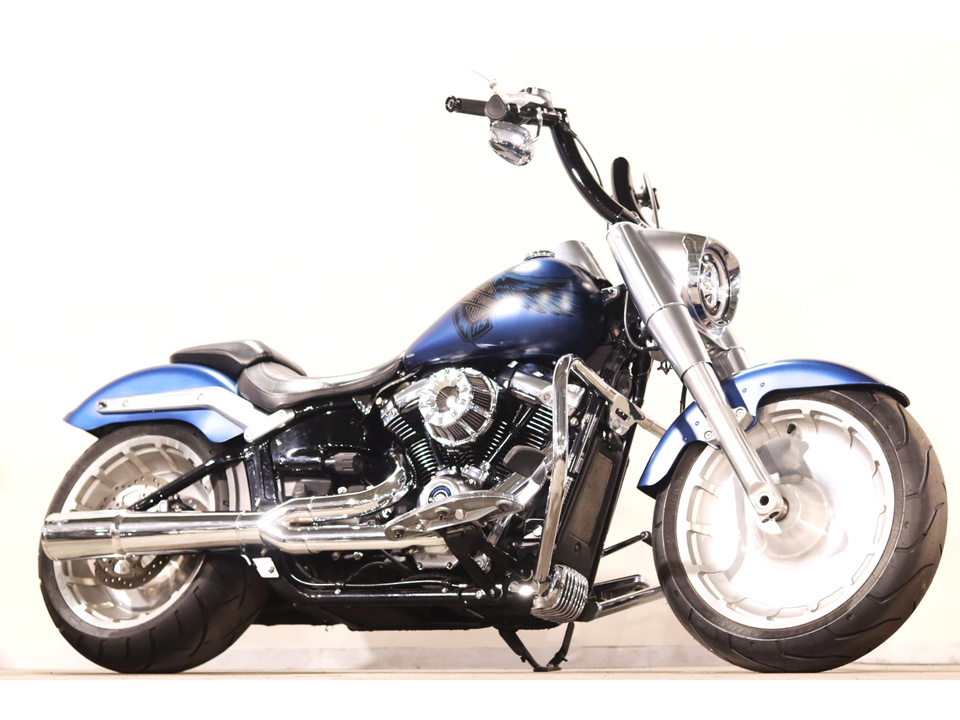 HARLEY-DAVIDSON FLFBS