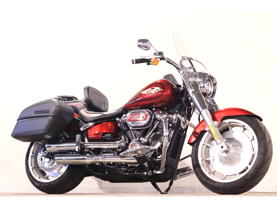 HARLEY-DAVIDSON FLFBS