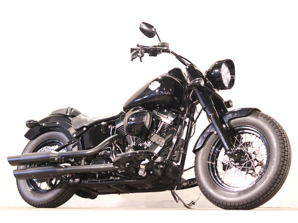 HARLEY-DAVIDSON FLSS