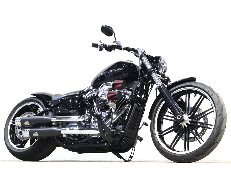 HARLEY-DAVIDSON FXBRS
