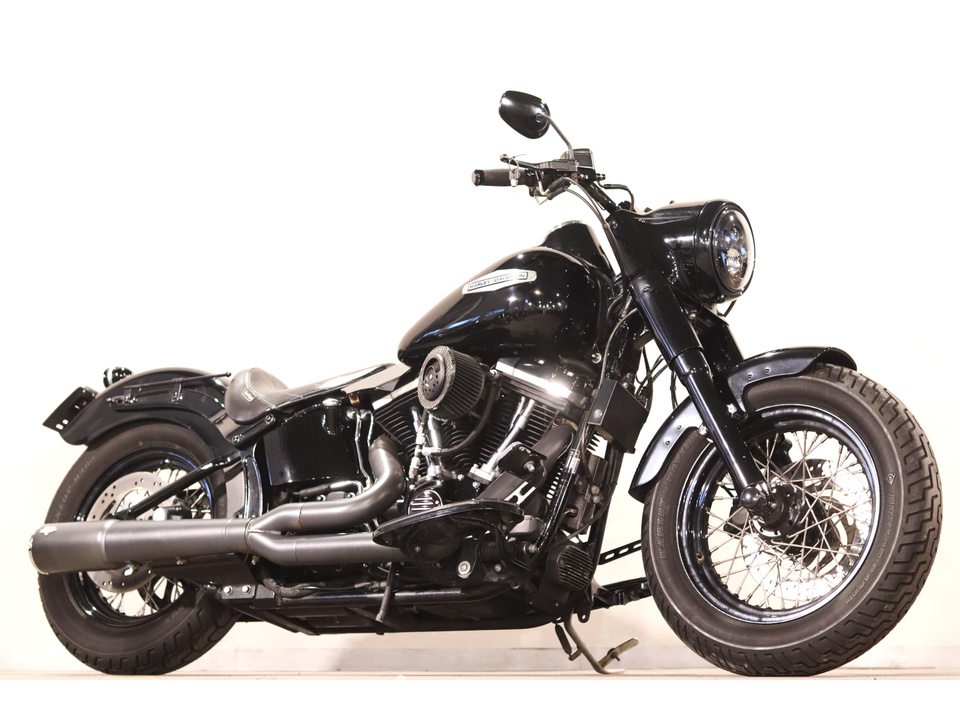 HARLEY-DAVIDSON FLS