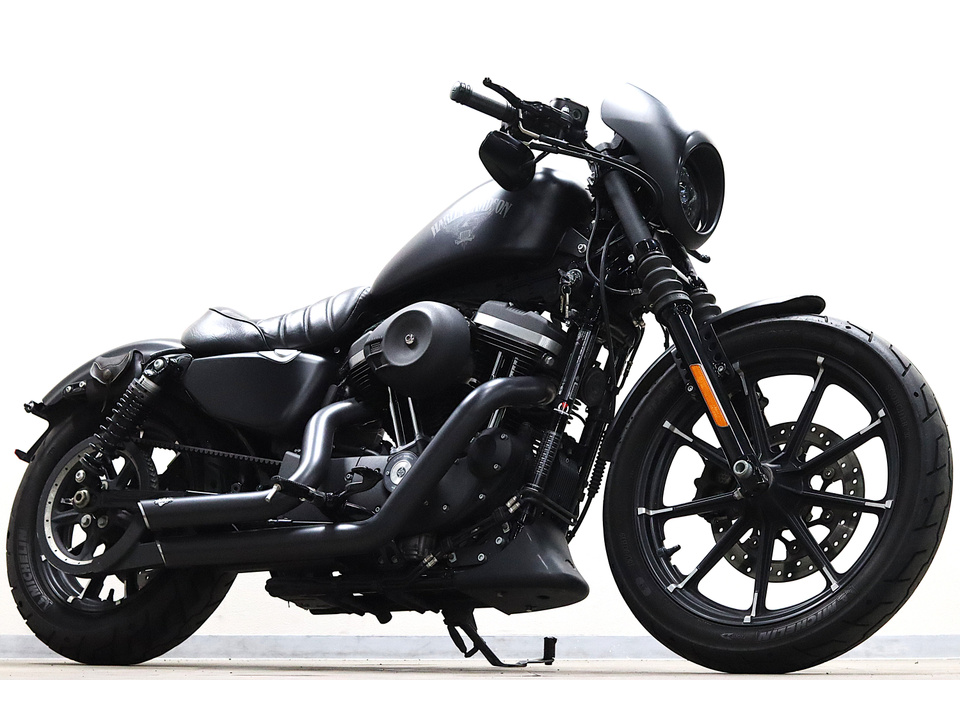 HARLEY-DAVIDSON XL883 N Iron